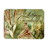 Lillium Candidum Magnet (Horizontal)