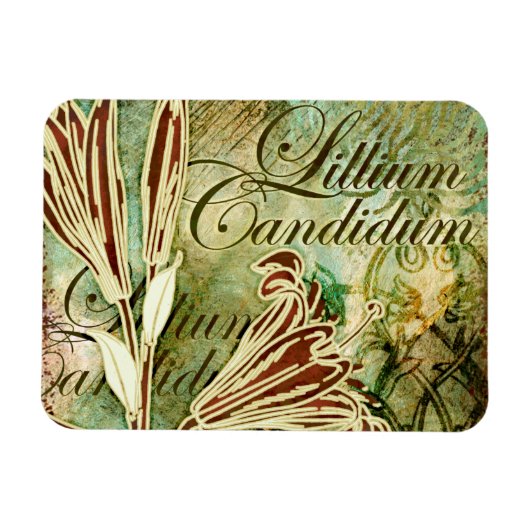 Lillium Candidum Magnet (Horizontal)