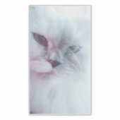 Lilly Aufkleber (Vorderseite)