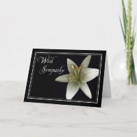 Lilly Beileid/Beileid-Auto