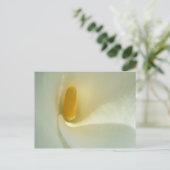 Lilly Center Postcard Postkarte (Stehend Vorderseite)