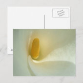 Lilly Center Postcard Postkarte (Vorne/Hinten)