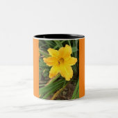 Lilly Cup Zweifarbige Tasse (Mittel)