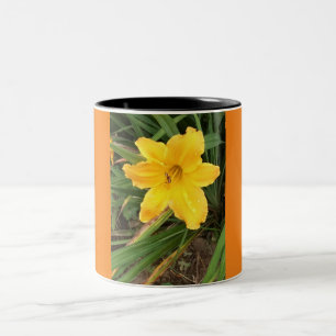Lilly Cup Zweifarbige Tasse