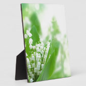 Lilly des Tals Fotoplatte (Seite)