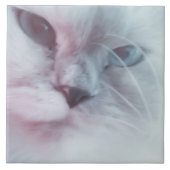 Lilly Fliese (Vorderseite)