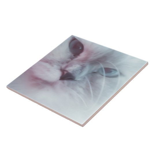 Lilly Fliese (Seite)