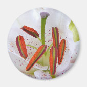 LILLY HEART KÜHLSCHRANKMAGNET (Vorne)