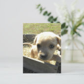 Lilly in einer Box Postkarte (Stehend Vorderseite)