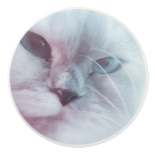 Lilly Keramikknauf (Vorderseite)