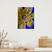 Lilly Lilien Blume Blumenfotografie Poster (Küche)