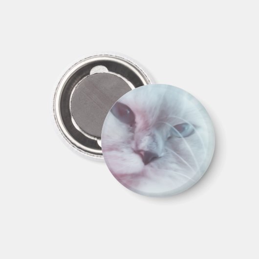 Lilly Magnet (Vorderseite/Rückseite)