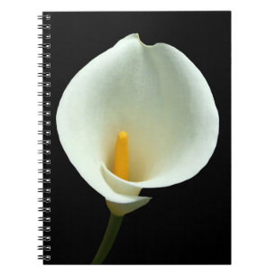 Lilly-Notebook Notizblock