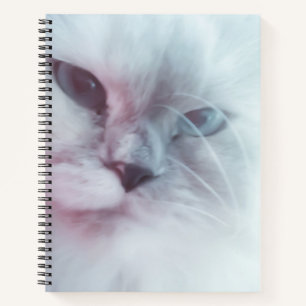 Lilly notizblock