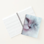 Lilly Notizblock (Innenseite)