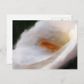 Lilly of the Nile Postcard Postkarte (Vorne/Hinten)