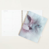 Lilly planer (Anzeige)