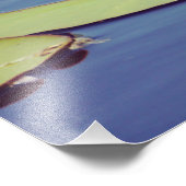 Lilly Pond Blume Fotodruck (Ecke)