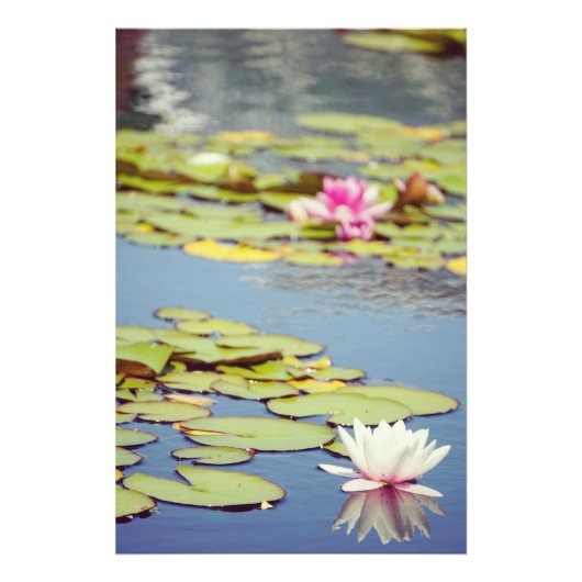 Lilly Pond Blume Fotodruck (Vorne)