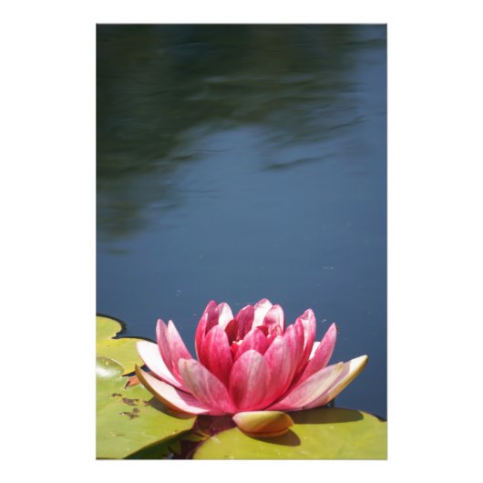 Lilly Pond Blume Fotodruck (Vorne)