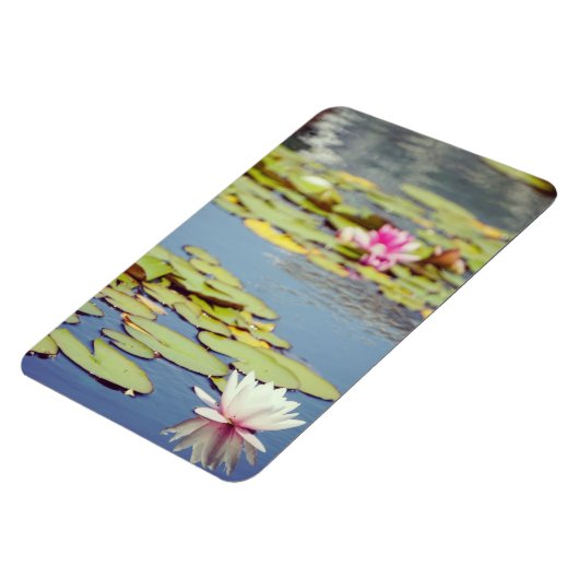 Lilly Pond Blume Magnet (Linke Seite)