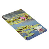 Lilly Pond Blume Magnet (Rechte Seite)