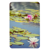 Lilly Pond Blume Magnet (Vertikal)