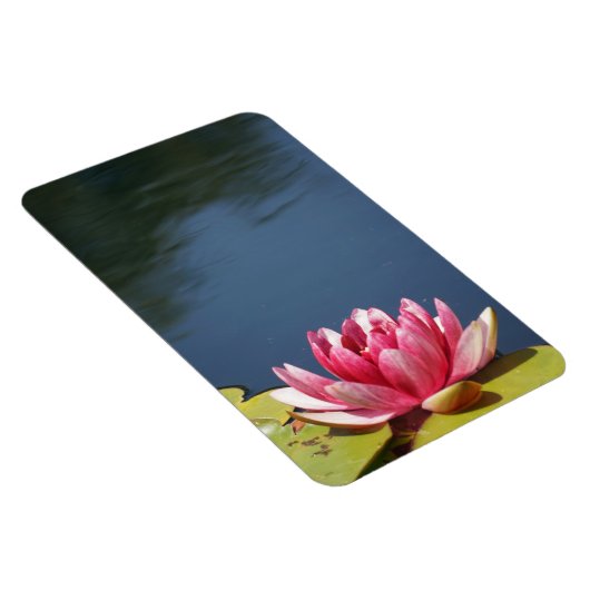 Lilly Pond Blume Magnet (Rechte Seite)