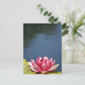 Lilly Pond Blume Postkarte (Stehend Vorderseite)