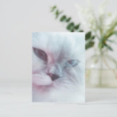 Lilly Postkarte (Stehend Vorderseite)