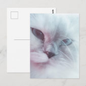 Lilly Postkarte (Vorne/Hinten)