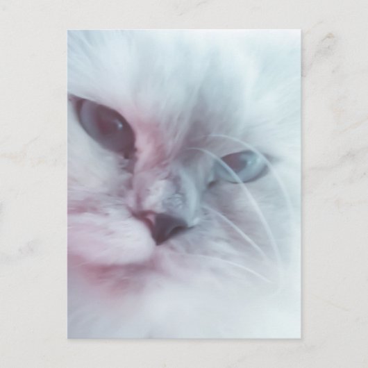Lilly Postkarte (Vorderseite)