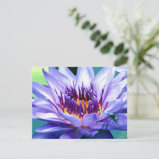 Lilly Postkarte (Stehend Vorderseite)