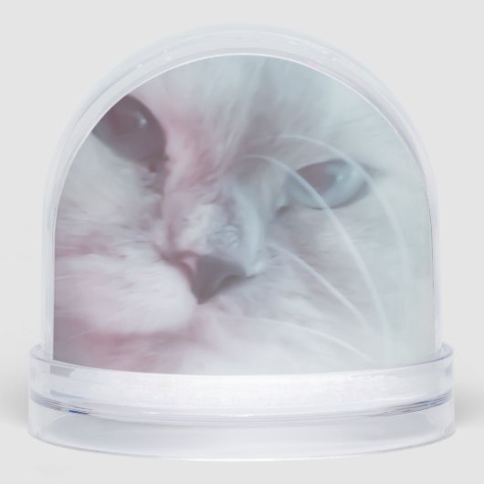 Lilly schneekugeln (Vorderseite)