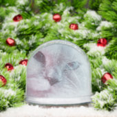 Lilly schneekugeln (Weihnachten)