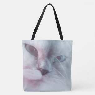 Lilly Tasche