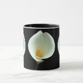 Lilly Tasse (Zentrum)