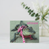LillyGator Alligator Rescue Postcard Postkarte (Stehend Vorderseite)
