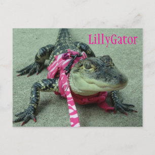 LillyGator Alligator Rescue Postcard Postkarte