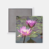 Lillypad Magnet (Vorderseite/Rückseite)
