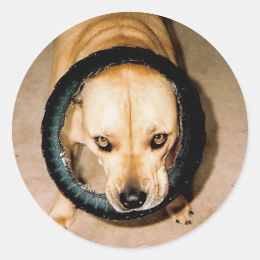 Lilo in Tire Runder Aufkleber (Vorderseite)