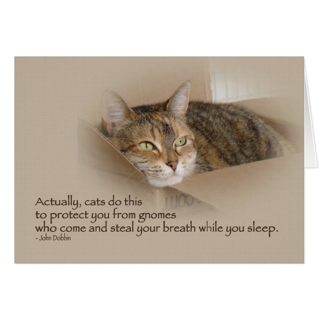 Lily #1 (Vorderseite (Horizontal))