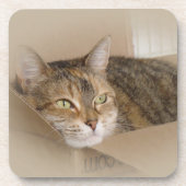 Lily #1 getränkeuntersetzer (Vorderseite)