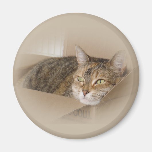 Lily #1 magnet (Vorne)