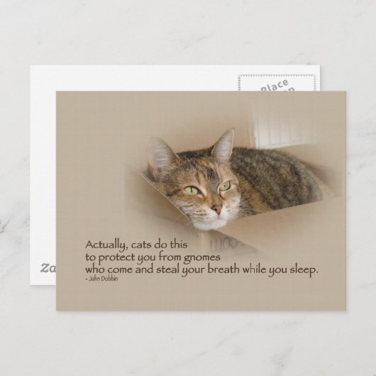 Lily #1 postkarte (Vorne/Hinten)