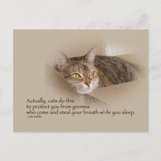 Lily #1 postkarte (Vorderseite)