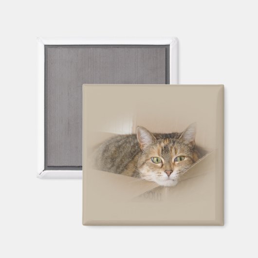 Lily #2 magnet (Vorderseite/Rückseite)