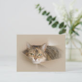 Lily #2 postkarte (Stehend Vorderseite)