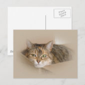 Lily #2 postkarte (Vorne/Hinten)