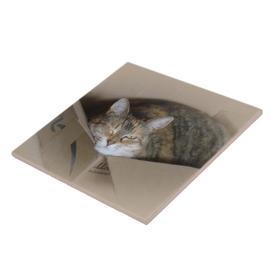 Lily #3 fliese (Seite)